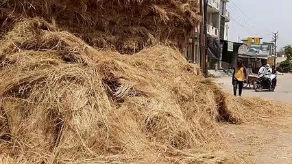 पुराल से भरी ट्रैक्टर ट्राली पलटी चालक ने कूदकर जान बचाई