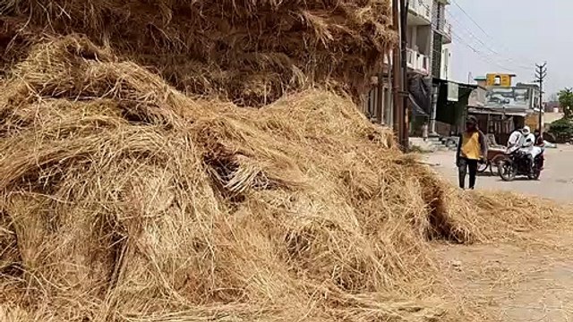 पुराल से भरी ट्रैक्टर ट्राली पलटी चालक ने कूदकर जान बचाई