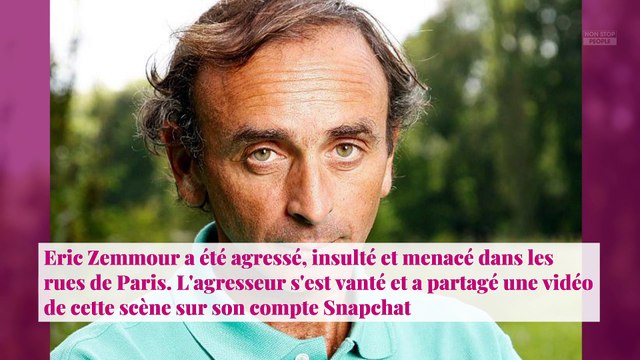 Eric Zemmour agressé : Eric Naulleau vole à son secours