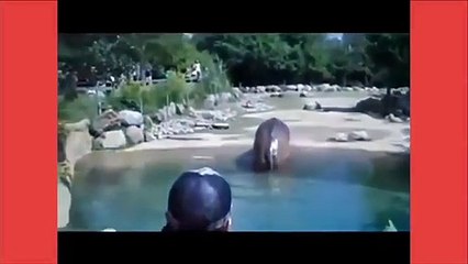 IF YOU LAUGH YOU LOSE _ ULTIMATE FUNNY FAILS COMPILATION