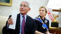 Straight-talking Dr. Anthony Fauci is the voice Americans want to hear right now. So, who is he_