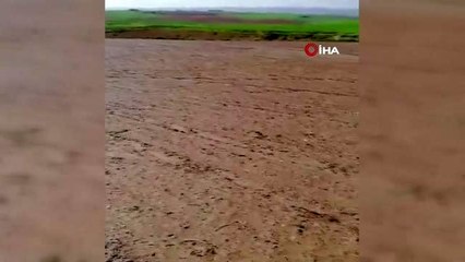 Diyarbakır'da dolu yağışı ekinlere zarar verdi