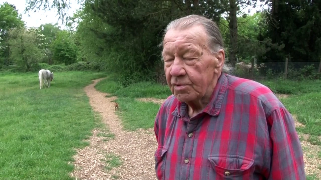 Frankfurt: Pferd Jenny kennt keine Corona-Beschränkungen