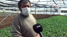 İç Anadolu'nun 'Antalyası'nda Üretim Hız Kesmeden Devam Ediyor