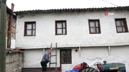 Camın Önüne Yuva Yapan Kumruya Gözü Gibi Bakıyorlar
