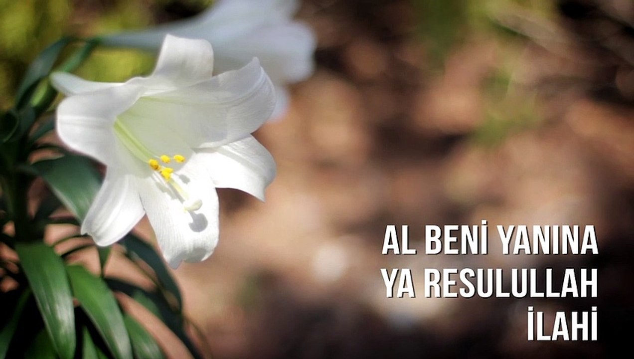 Müziksiz İlahiler - Al Beni Yanına Ya Resulullah