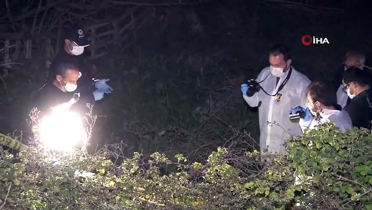 İstanbul'da Boş Arazide Çok Sayıda Kemik ve Kafatası Bulundu