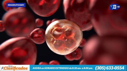 Desarrollan un sujetador inteligente que detecta el cáncer de mama en sus primeras fases | La Buena noticia