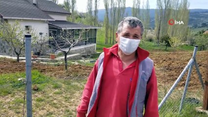 Annesinin Terk Ettiği 'Yılkı Tayı'na Milli Park Görevlileri Sahip Çıktı nt