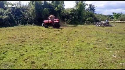 Wild elephant attacks tractor to protect its love interest