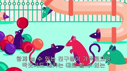 중독(Addiction)에 관한 새로운 이론-환경과 관계에 의존, 단절을 대체하는 해로운 유대와 건강한 유대의 되찾기, 2015 다큐 [CRAMV(D.U.)-18)]