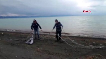 VAN Sokağa çıkma yasağında, üreme mevsimindeki inci kefali avına çıktı