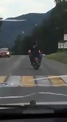 Stoppés à scooter par.. une vache !