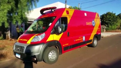 Homem sofre fraturas ao cair de pé de abacate no Bairro Universitário