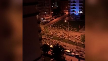 Samsun’da koyun sürüsü caddeye indi