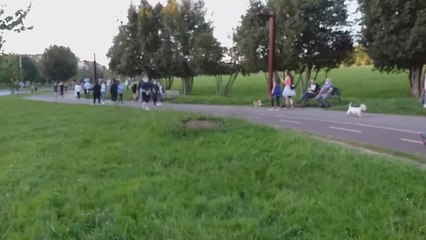 Gente paseando y haciendo deporte por el parque de los Pericones