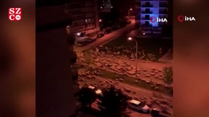 Samsun’da koyun sürüsü caddeye indi