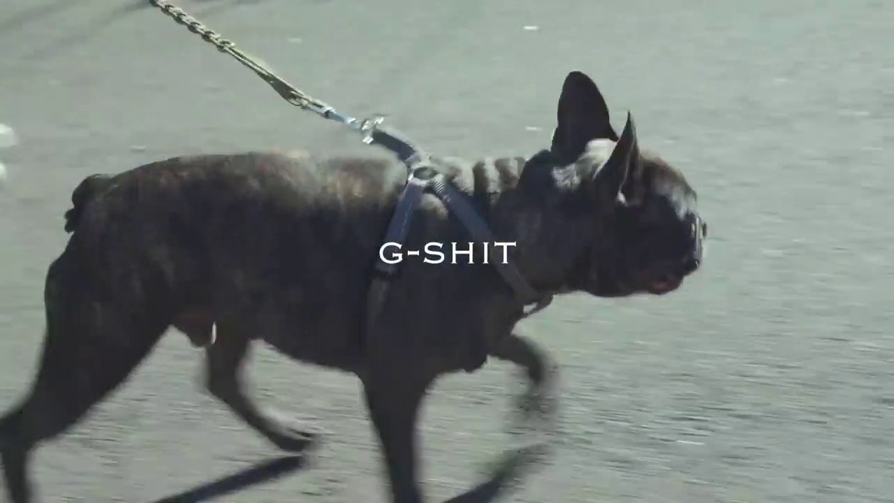 Problem "G-Shit"