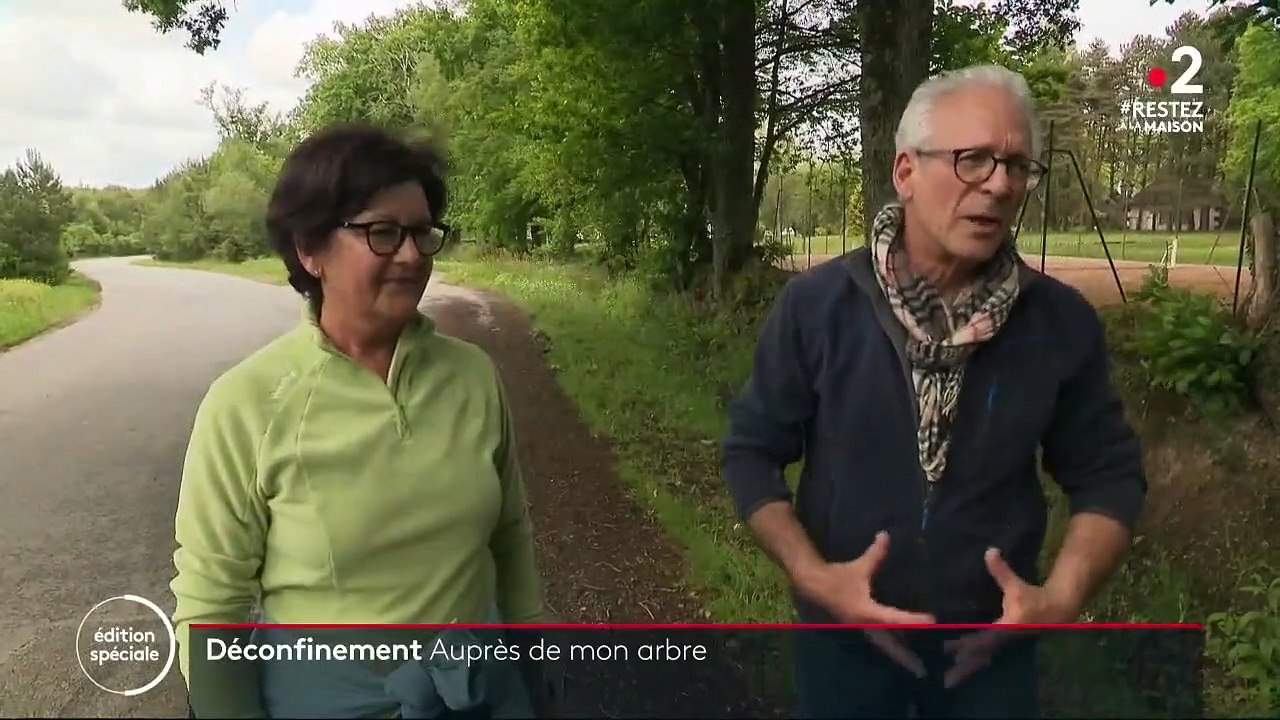 Déconfinement : les balades en forêt autorisées à partir du 11 mai partout en France