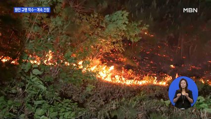고성 산불 원인조사 착수…건조한 대기에 비상