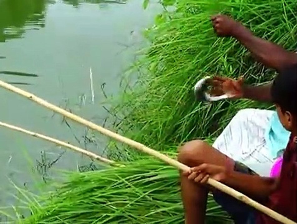 Si vous voulez passer votre temps libre, n'apprenez pas à pêcher avec une canne à pêche