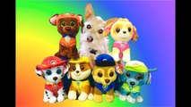 PAW PATROL Beanie Boos and PUPPY Learn Farm Animals and Sounds--