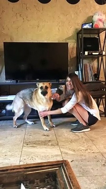 Clipping Dog's Nails With a Peanut Butter Distr...