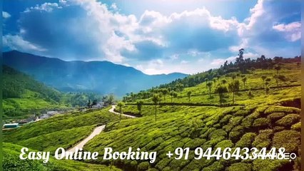 munnar tour packages