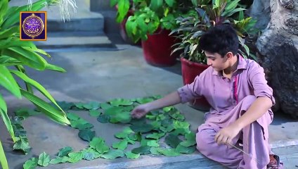 The Most Awaited Ramazan Kalaam of this Year -Allah Hoo (Shan-e-Ramazan)-