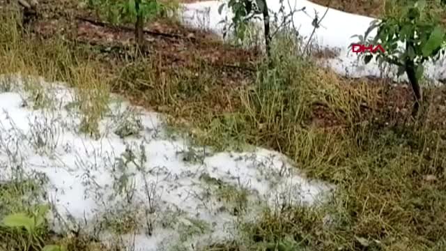 MERSİN ERDEMLİ'DE ETKİLİ OLAN DOLU YAĞIŞININ HASAR TESPİT ÇALIŞMALARI DEVAM EDİYOR