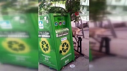 Giysi kumbarasında hırsızlık yapan küçük çocuklar kamerada