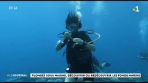 Plongée sous-marine : le retour des adeptes du grand bleu