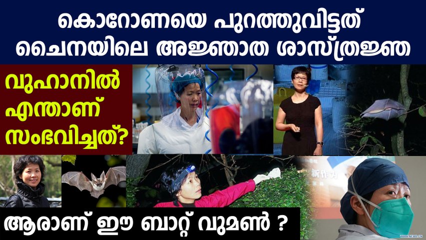 cmsvideo