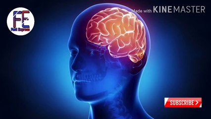 most interesting fact -  आश्चर्यजनक तथ्य- रोचक जानकारी-fact techz