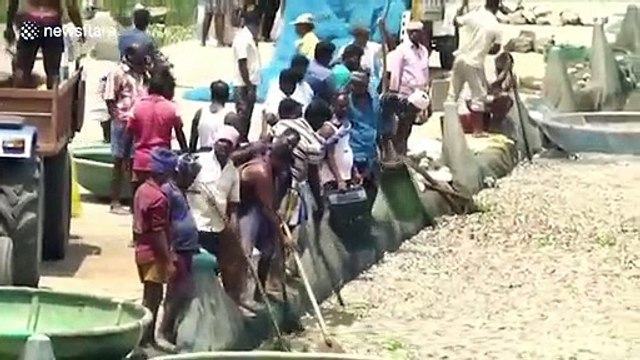 Indian villagers scoop out thousands of dead fish from dam as water levels decrease