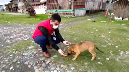 Gençlik Merkezleri sokak hayvanlarını unutmadı