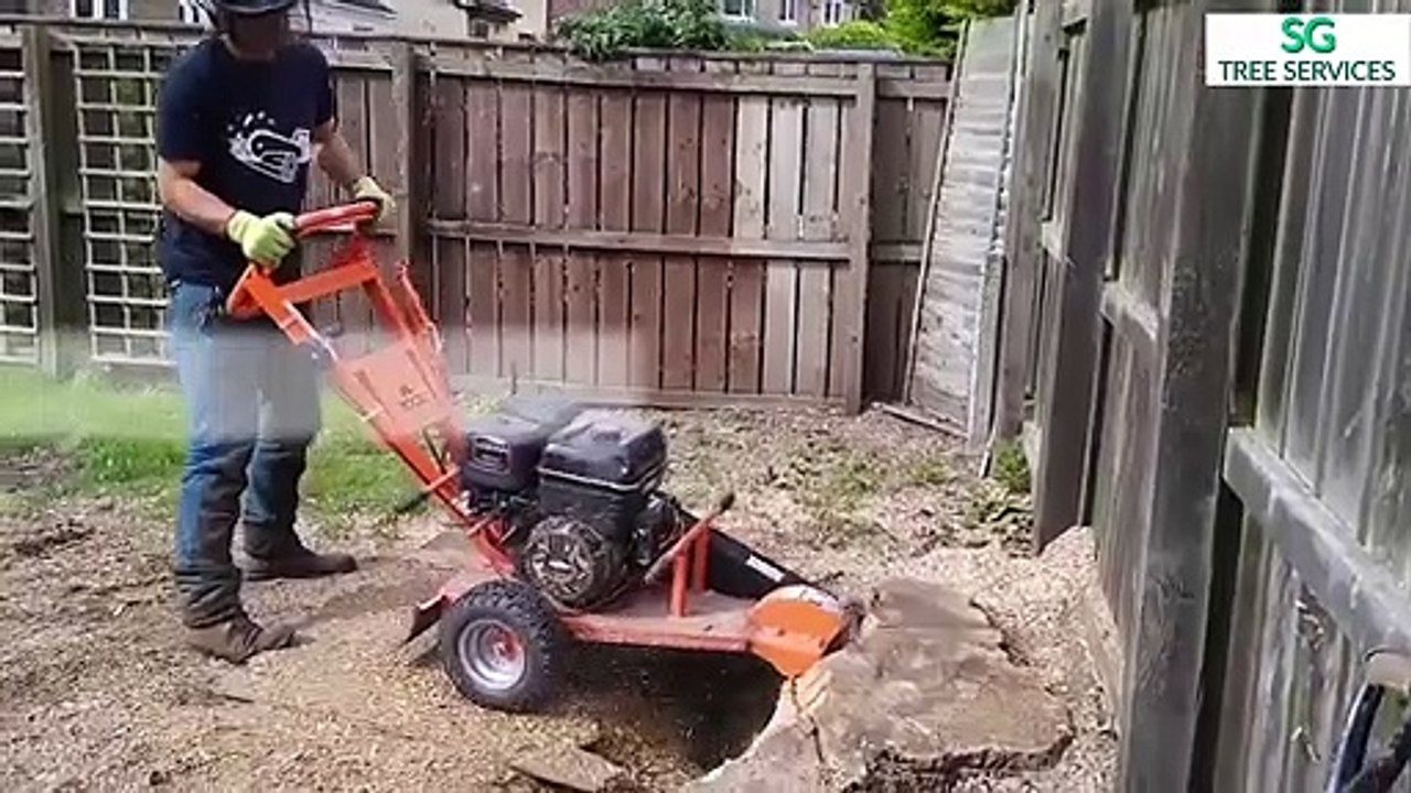 SG Tree Stump Grinding Service
