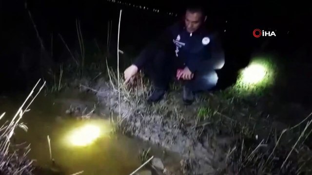 Erçek Gölü’nde yaşayan inci kefali balığı göçe başladı