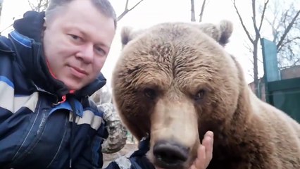 ‘Kamyon gibi gürleyen’ ayı sosyal medyada gündem oldu