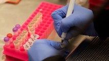 US claims China hid severity of coronavirus to hoard supplies