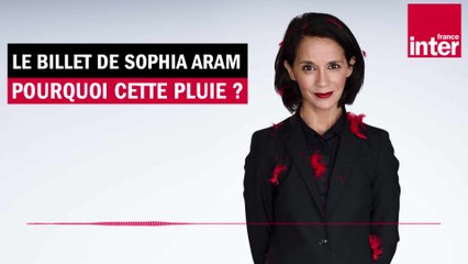 Pourquoi cette pluie ? Hommage en poésie au chanteur Idir - Le Billet de Sophia Aram