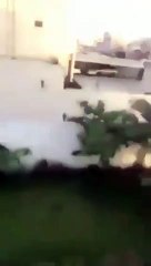 Katar'da darbe girişimi! Sokaklar karıştı!