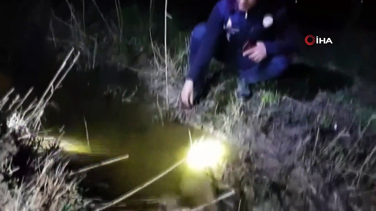 Erçek Gölü’nde Yaşayan İnci Kefali Balığı Göçe BaşladI