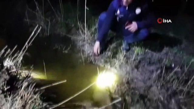 Erçek Gölü’nde Yaşayan İnci Kefali Balığı Göçe BaşladI