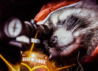 Killer Raccoons 2  Dark Christmas in the Dark - Trailer