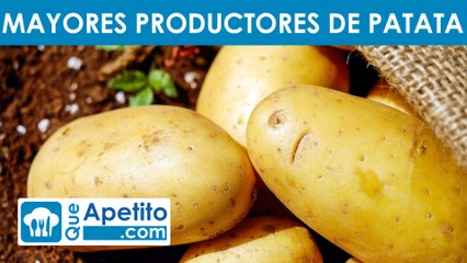 Los 10 países que más patata producen al año | QueApetito