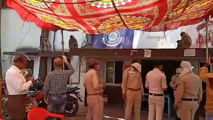 भूख प्यास से परेशान बंदर पहुंचे थाने में, पुलिसकर्मियों ने मिटाई भूख प्यास