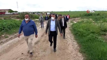 Adanalı çiftçiler: "Fiyat farkının sebebi biz değiliz"