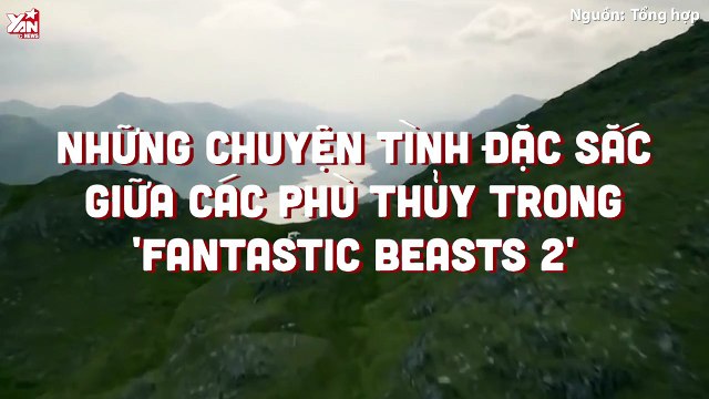 Những chuyện tình đặc sắc giữa các phù thủy trong 'Fantastic Beasts 2'