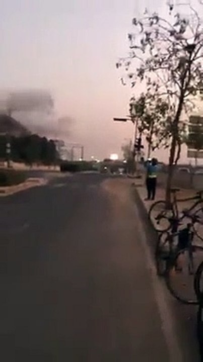 Watch bird fly rhythm ly
